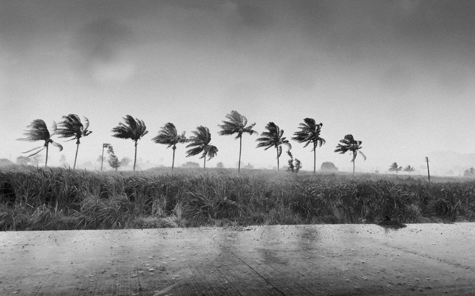 Hurricane protection